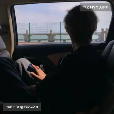 狄柏